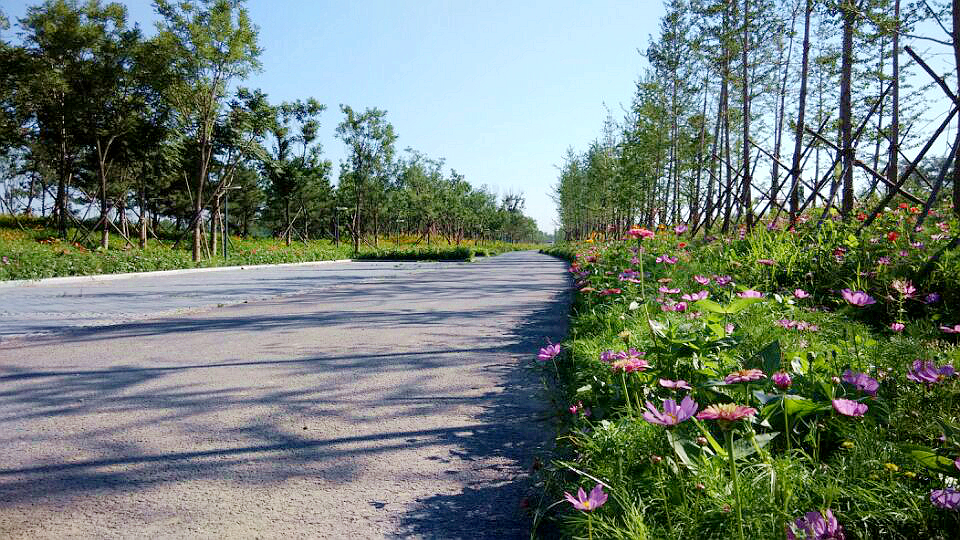 北京·環(huán)渤海高端總部基地北部城市濕地公園